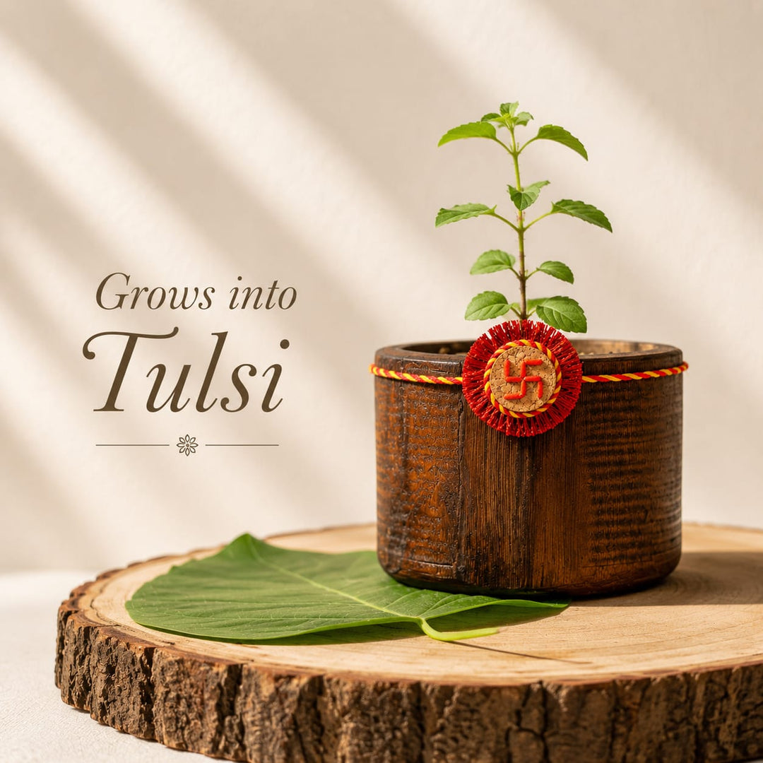Swastik Plantable Rakhi | Eco-friendly | Soft on skin | Grows into plant | Roli-Chawal | Handmade in Banaras