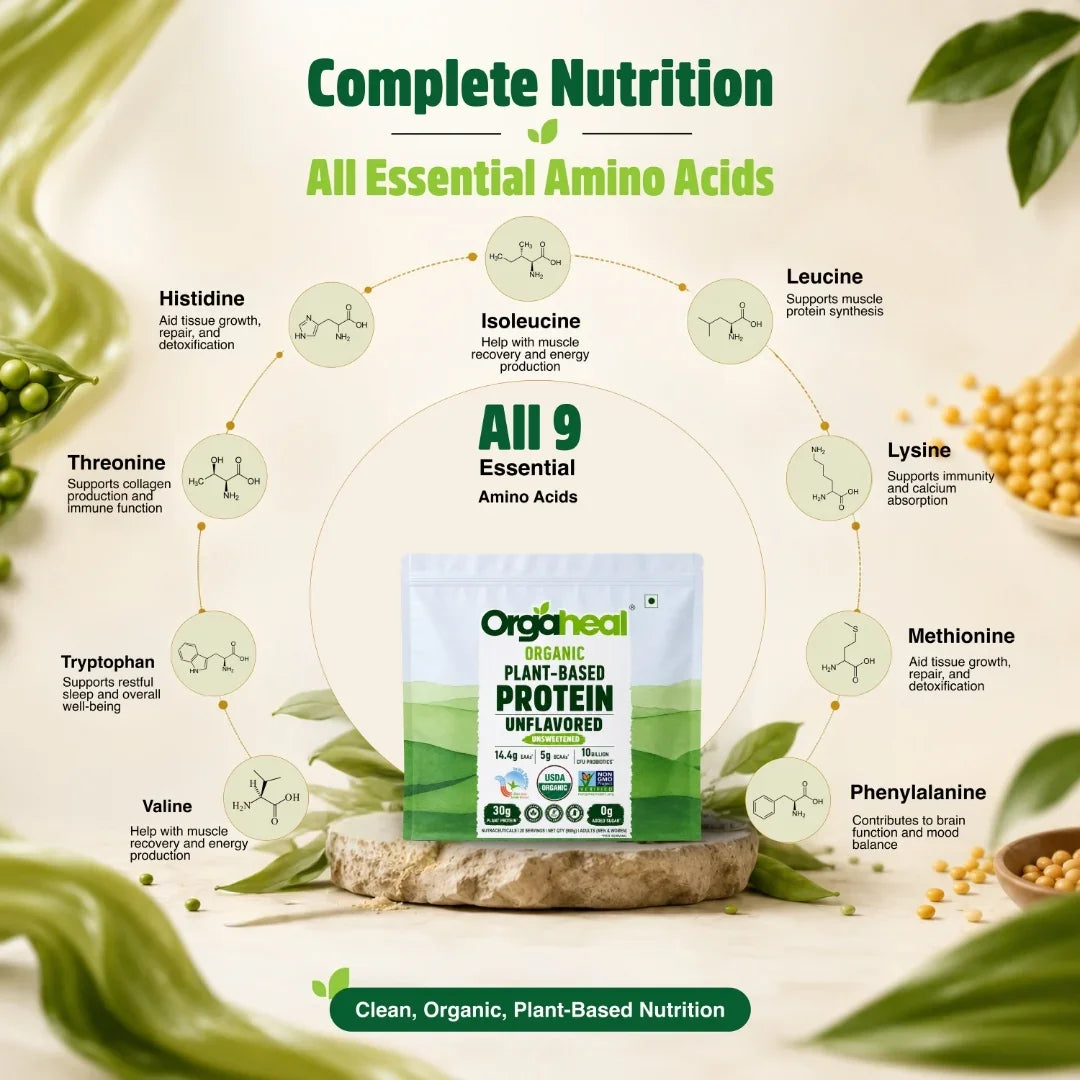 Organic Plant Based Protein Powder Unflavored
