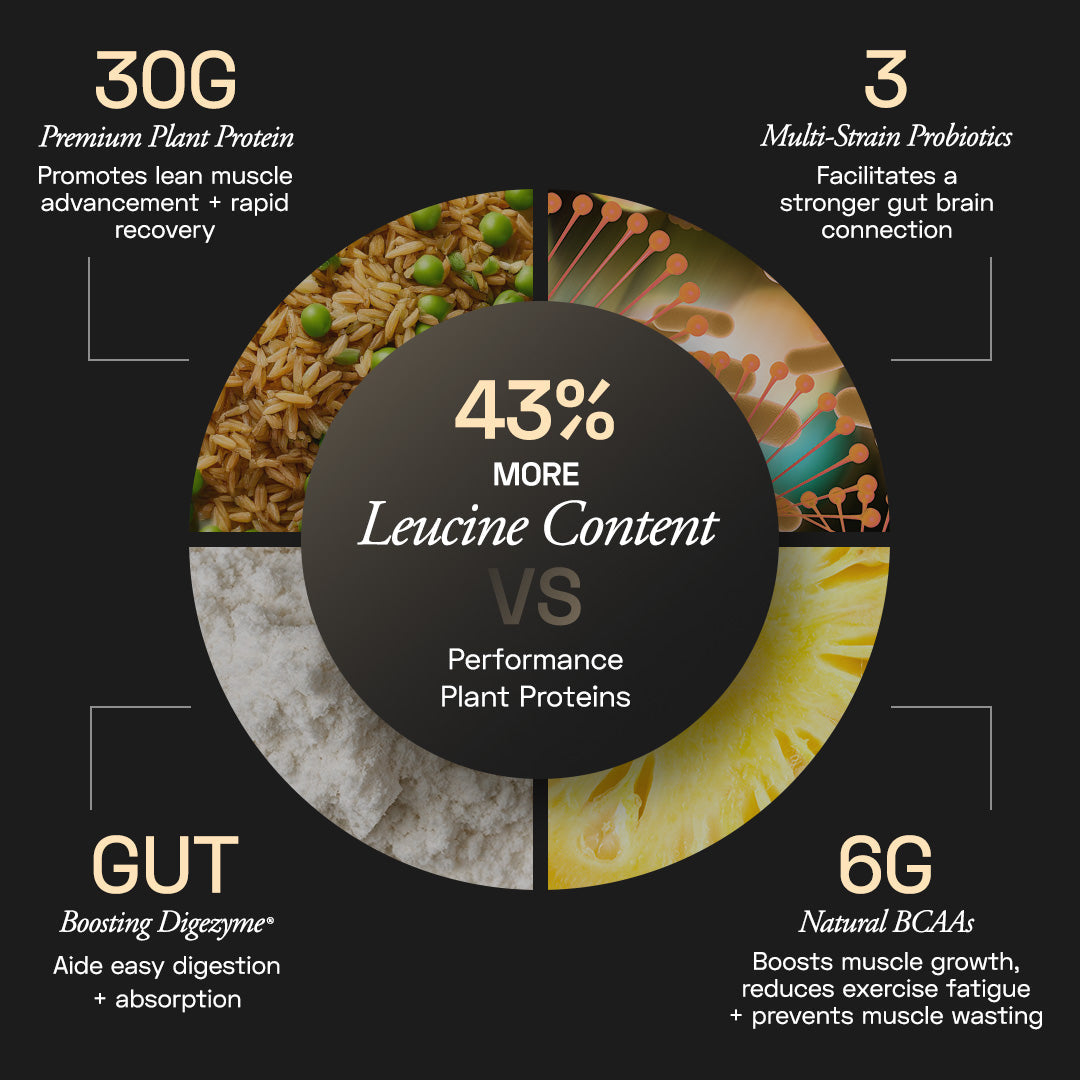 Ace Blend Premium Plant Protein | Intense