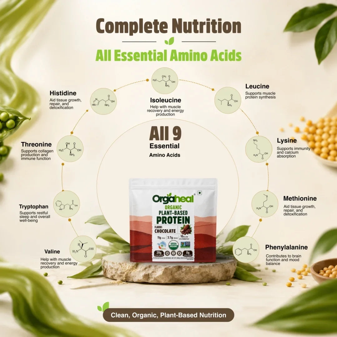 Organic Plant Based Protein Powder Chocolate