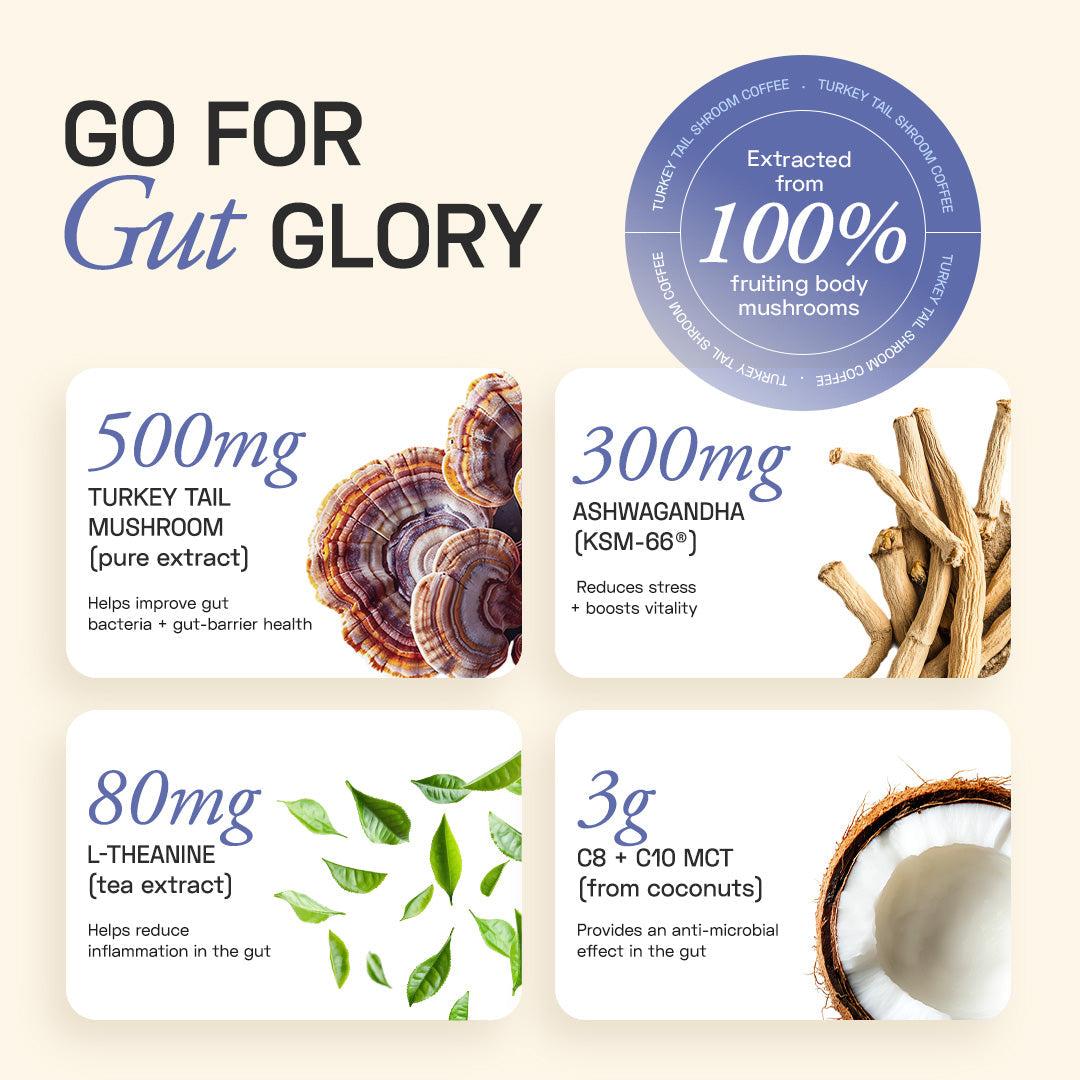 Ace Blend Turkey Tail Shroom Coffee