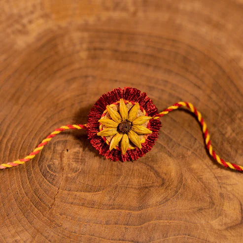 Scrapshala Akkad-Bakkad Sibling Rakhi Box | Set of 2 Plantable Rakhis