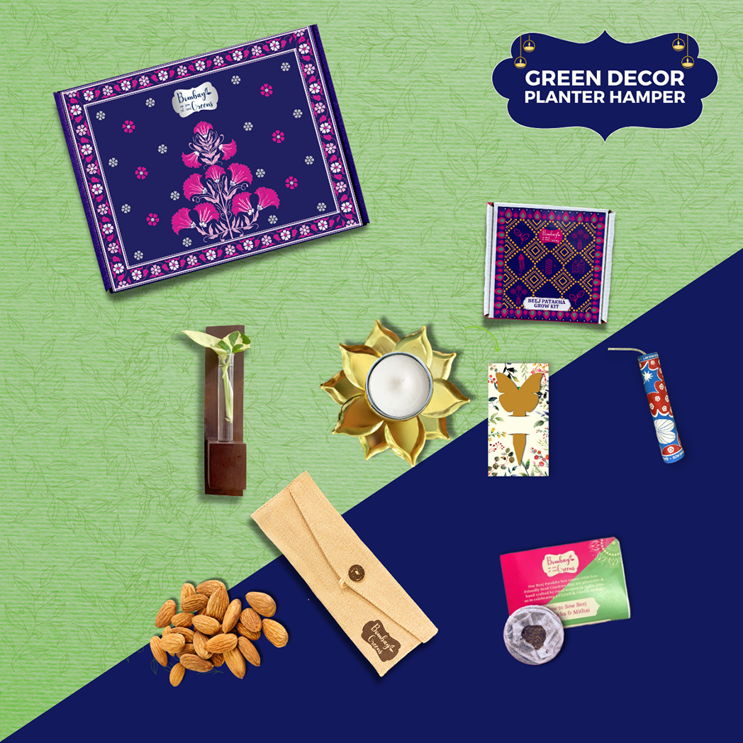 Bombay Greens Green Decor Planter Hamper