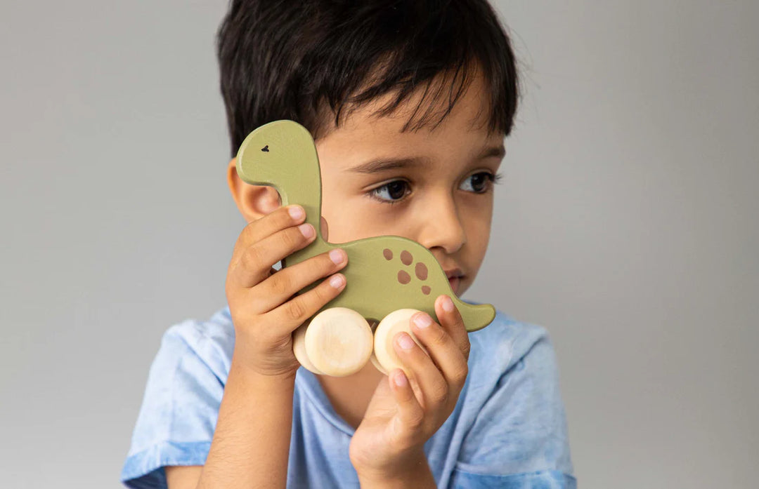 BIRCH & BUG Dino Roller Toy