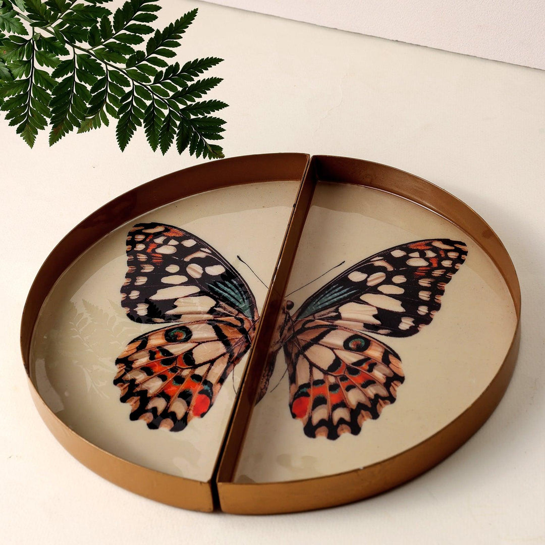 Goomti Symphony Wings - The Butterfly Tray