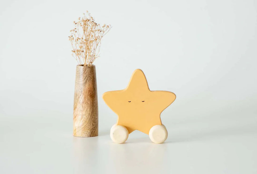 BIRCH & BUG Star Roller Toy