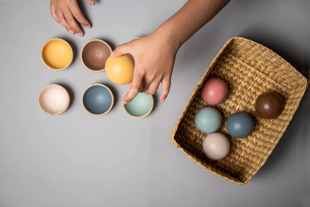 BIRCH & BUG Colour Sorting Set - Set of 12