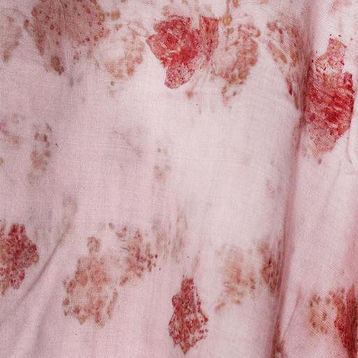 "Bageeya “Gulnaar” Natural dyed  Khadi Tussar Cotton Crop Top
 | Crafted with Sacred Temple Lac and Rose"