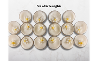 Daisy Tealight Candles