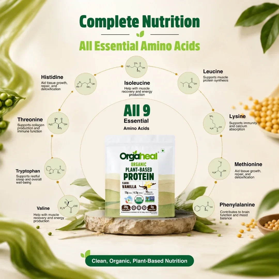 Organic Plant Based Protein Powder Vanilla