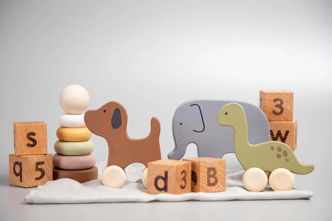 BIRCH & BUG Animal Roller Toys - Set of 3