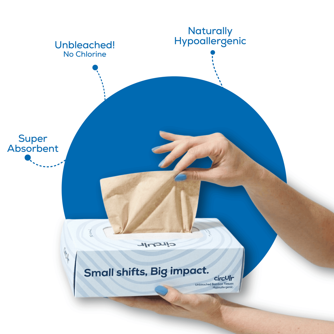 Bamboo Facial Tissues Blue (2 Ply | 100 Pulls) Pack of 10