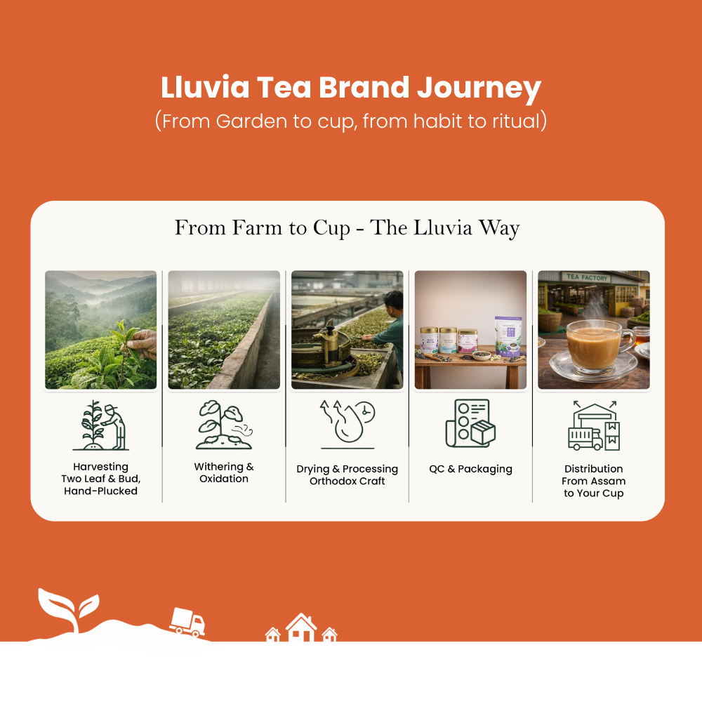 Lluvia Tea Rooibos Bliss Tea - Improves Skin Health | Digestive Support | Caffeine-Free Energy (50 gm)