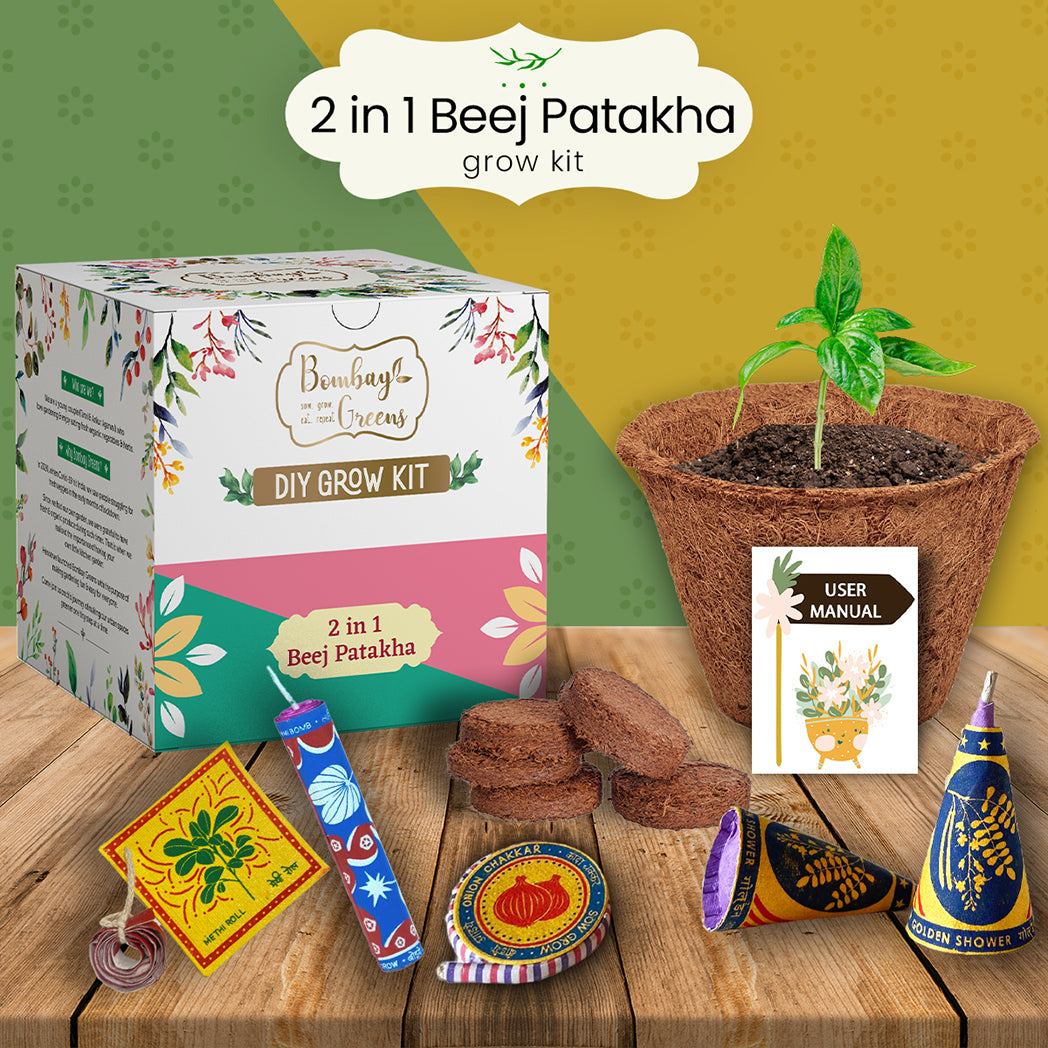 Bombay Greens 2 in 1 Beej Patakha-growkit