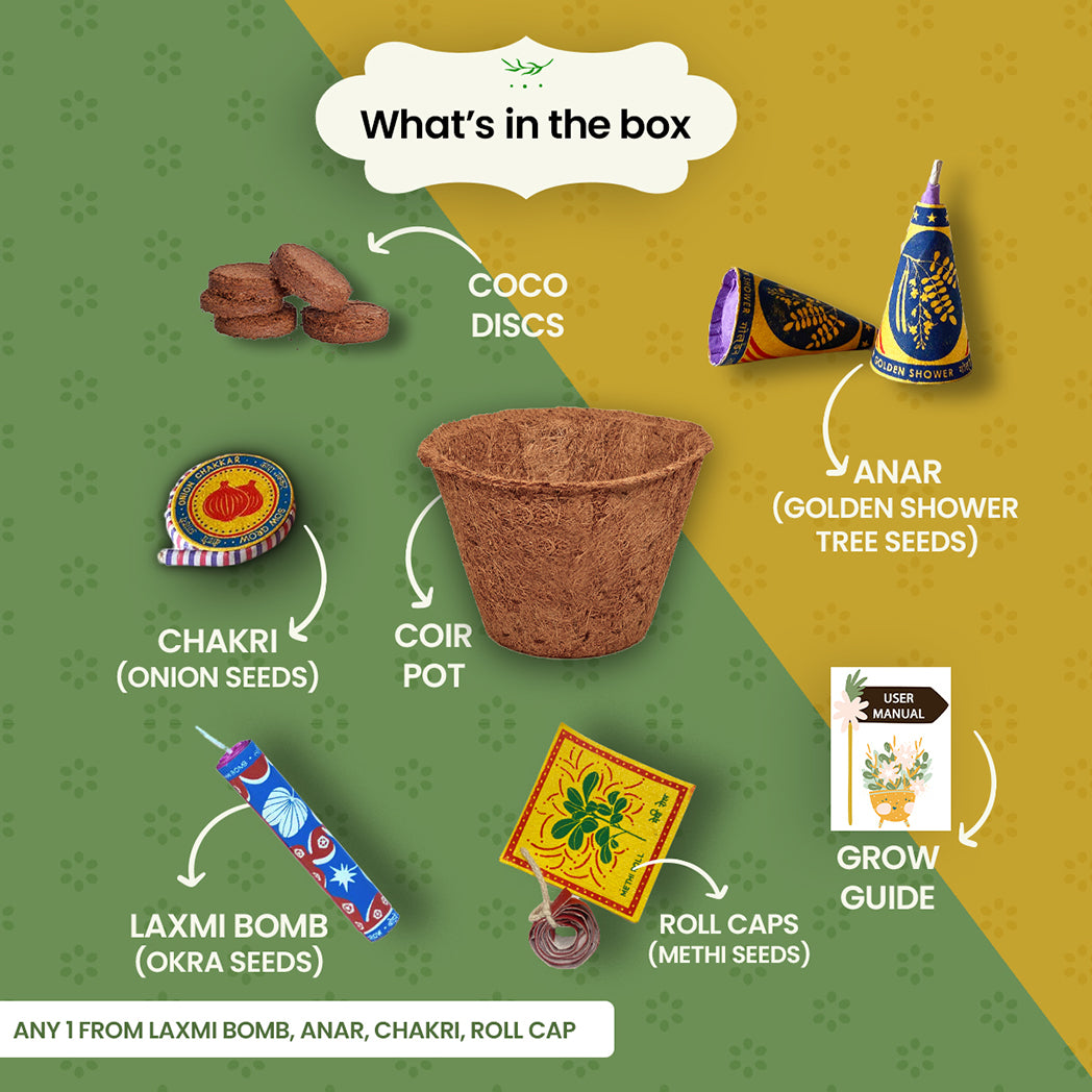 Bombay Greens 2 in 1 Beej Patakha-growkit