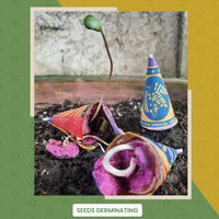 Bombay Greens 2 in 1 Beej Patakha-growkit