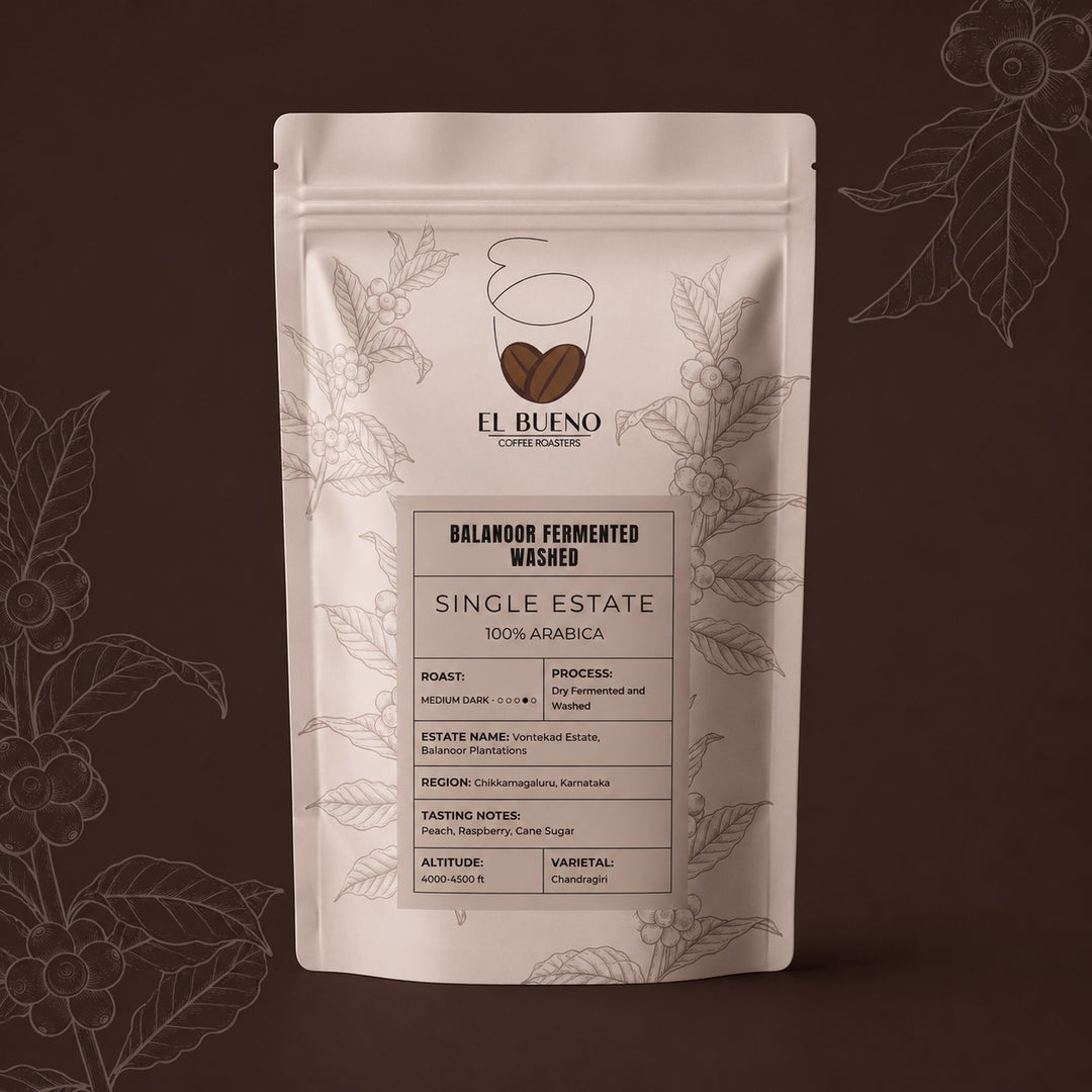 El Bueno Balanoor Fermented Washed - BBTC Coffee Beans