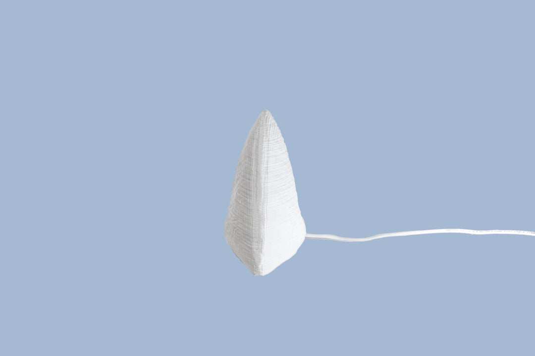 Albino Clam Table Lamp | Designer LED Table Light