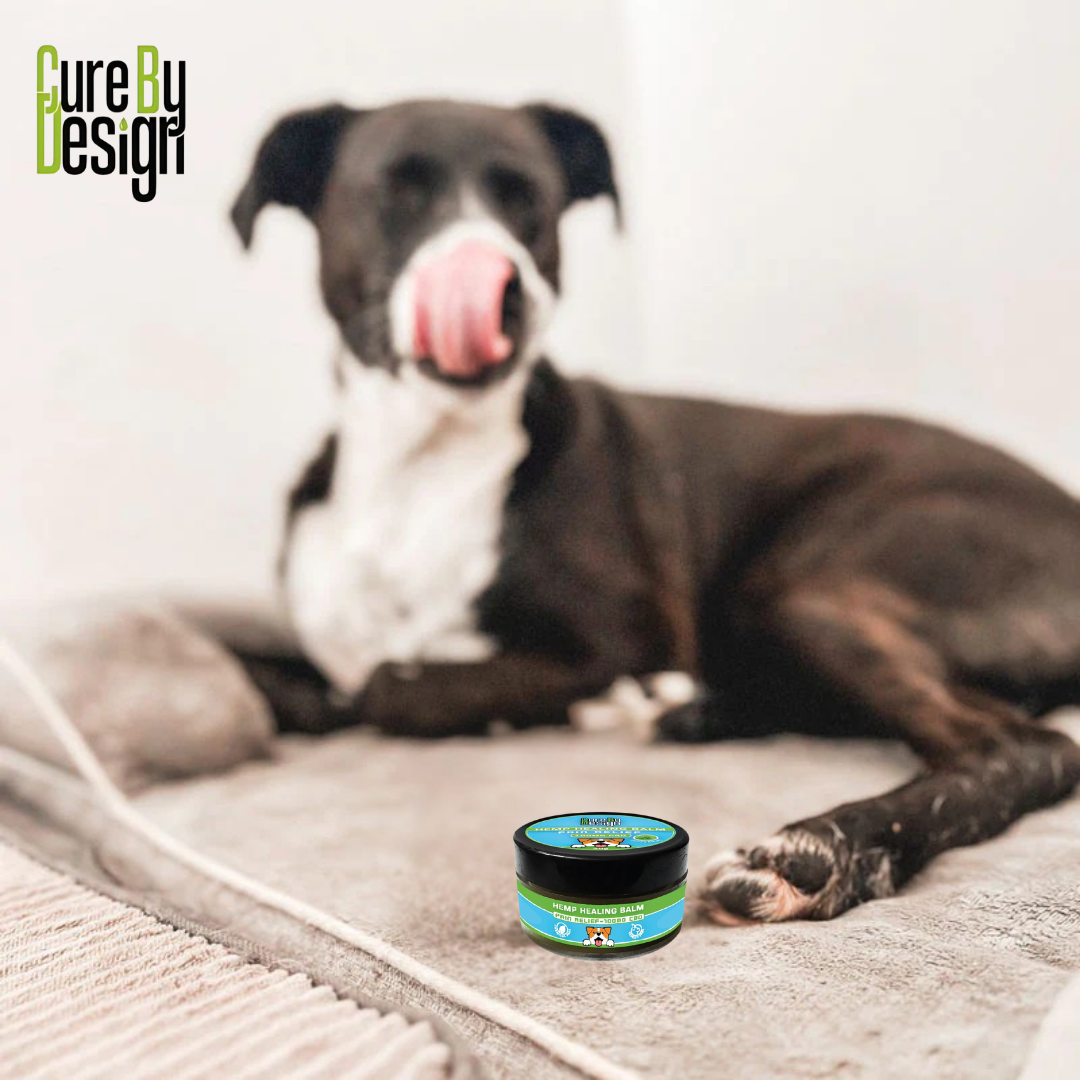 Cure By Design Hemp Healing Balm Price .png
