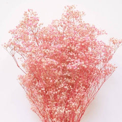 Pastel Pink Baby Breath Dried Flowers | Natural Decorative Dried Floral Bunch for Home Décor