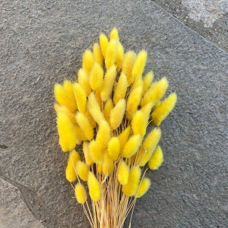 Yellow Bunny tails - https://artecasa.in/