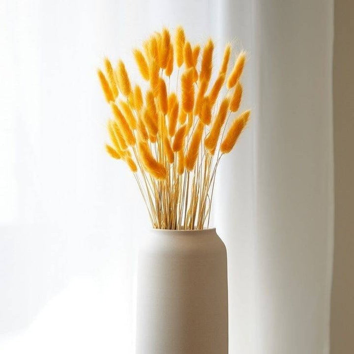 Yellow Bunny tails - https://artecasa.in/