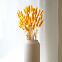 Yellow Bunny Tails Dried Flowers