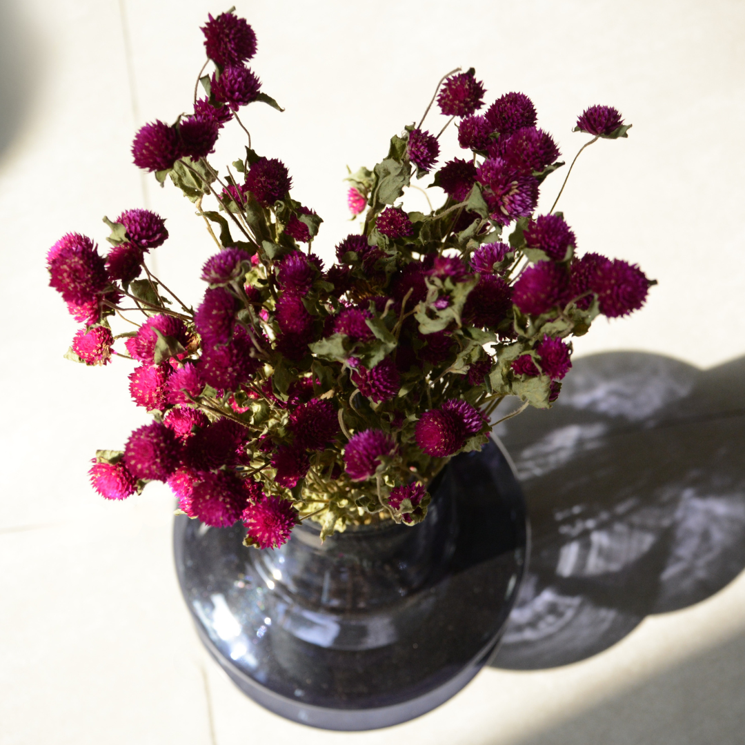 Muun Home Natural Dried Gomphrena Flower Bunch