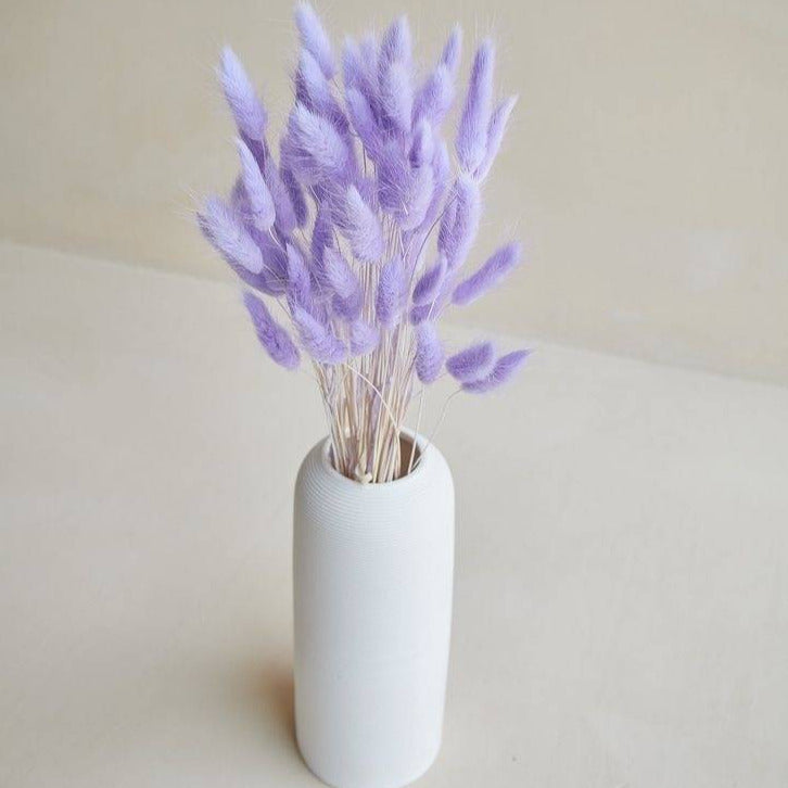 Lilac Bunny Tails Dried Flower