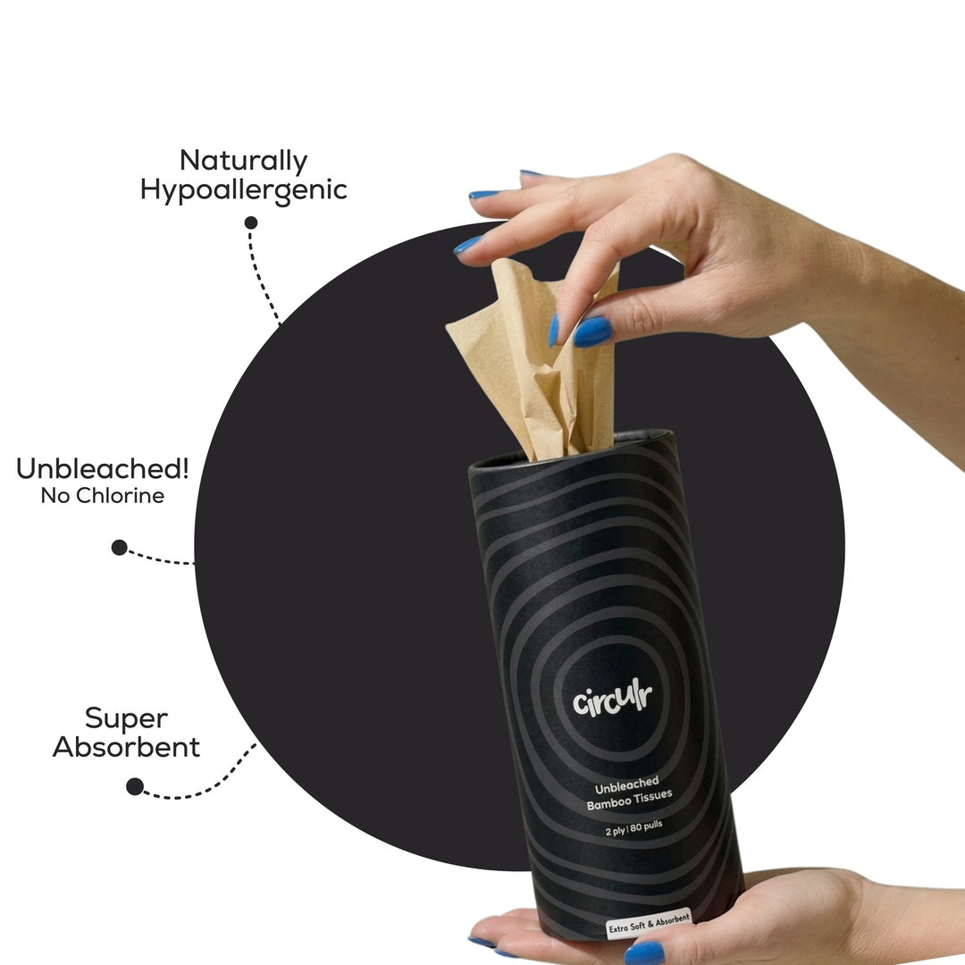 Bamboo Tissue Tube Black (Pack of 10)