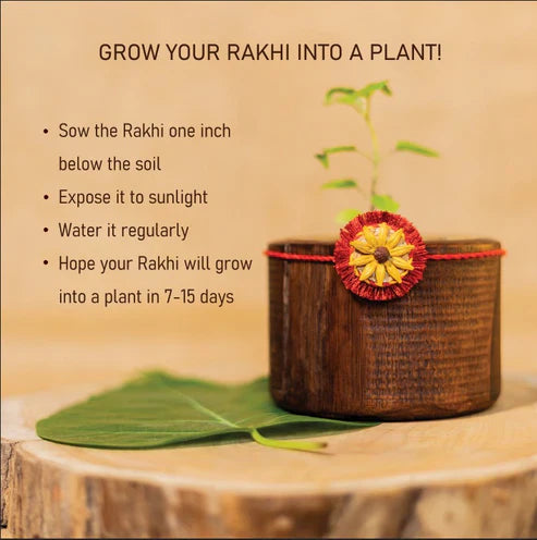 Scrapshala Akkad-Bakkad Grow Rakhi Box | Plantable Rakhis & Wooden Planter