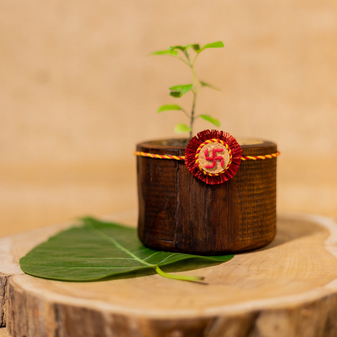 Swastik Plantable Rakhi | Eco-friendly | Soft on skin | Grows into plant | Roli-Chawal | Handmade in Banaras