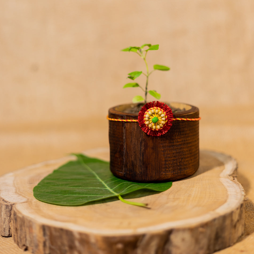 Sneh Plantable Rakhi | Eco-Friendly Handmade Rakhi with Seeds | Sustainable Rakshabandhan 2025 | Scrapshala