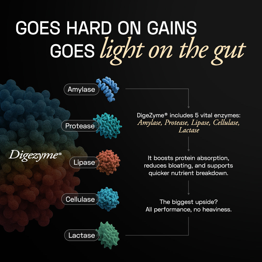 Ace Blend Premium Plant Protein | Intense