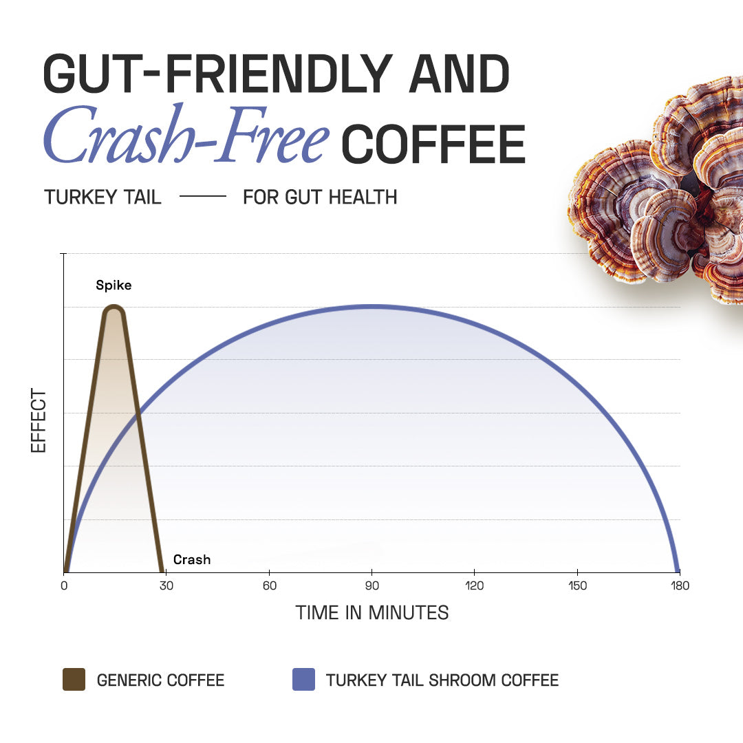 Ace Blend Turkey Tail Shroom Coffee