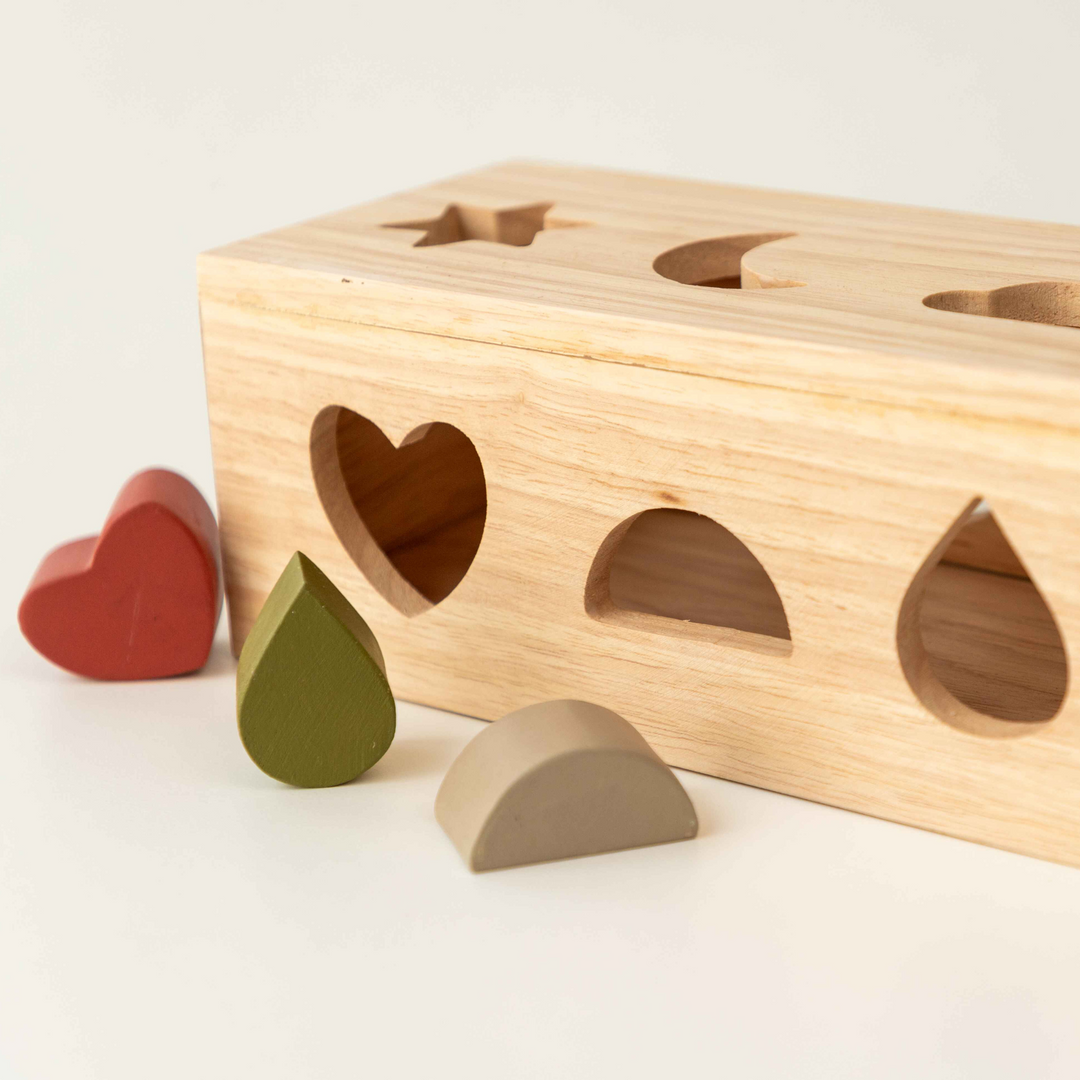 BIRCH & BUG Shape Puzzle box