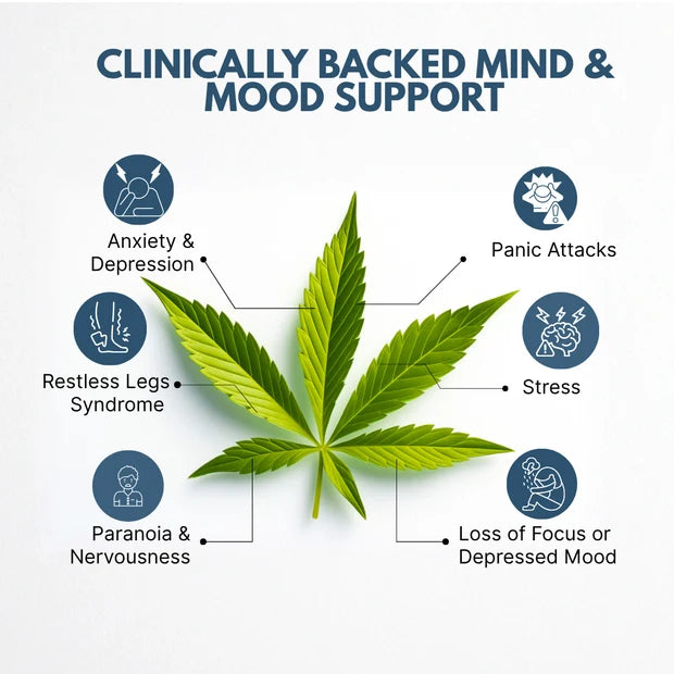 CannazoIndia Calm Drops: for Stress, Anxiety and Mood Support