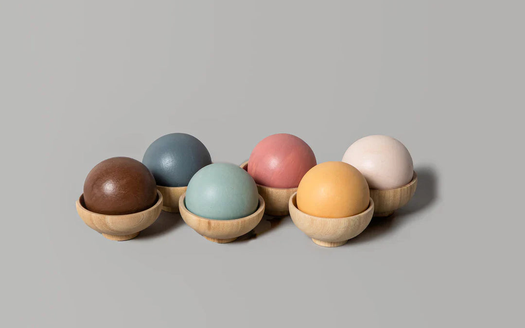 BIRCH & BUG Colour Sorting Set - Set of 12