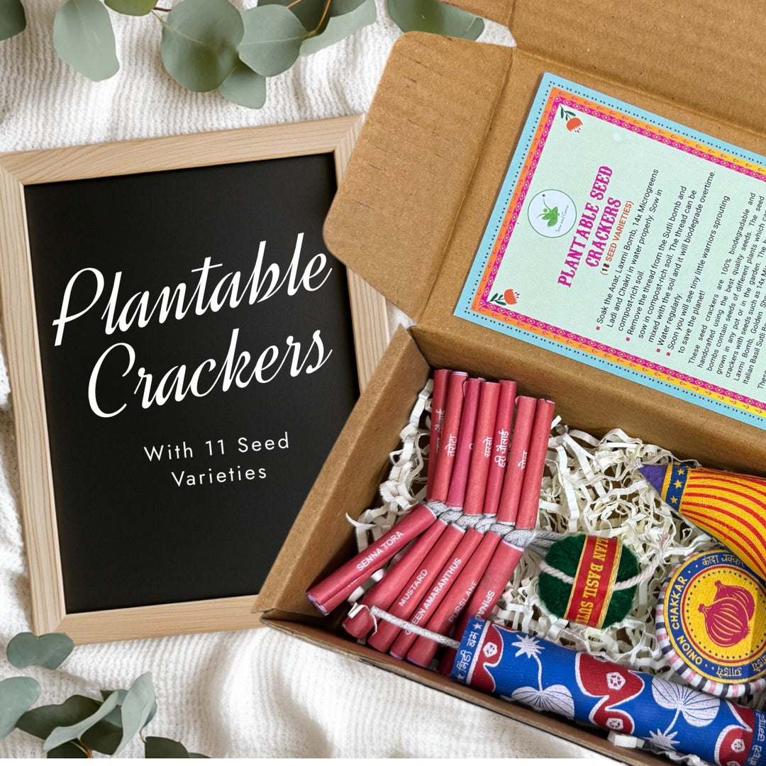 Sow and Grow DIWALI SPECIAL: Plantable Seed Crackers: Set of 5 with 11 varieties of seeds