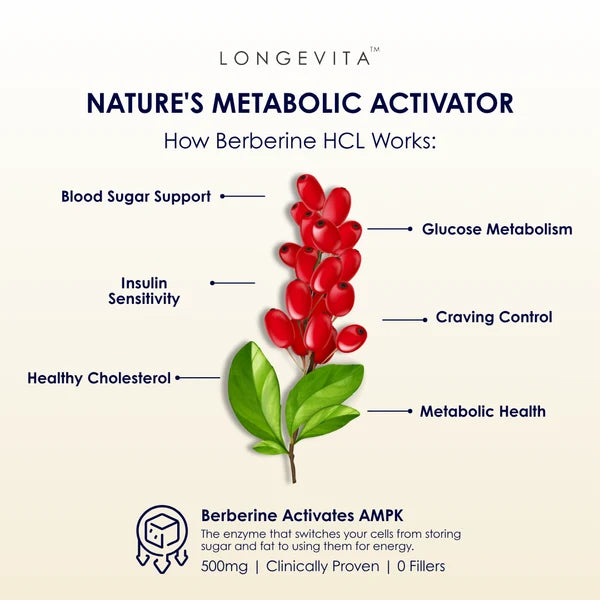Longevita Berberine HCl – 500 mg Metabolic Health Support