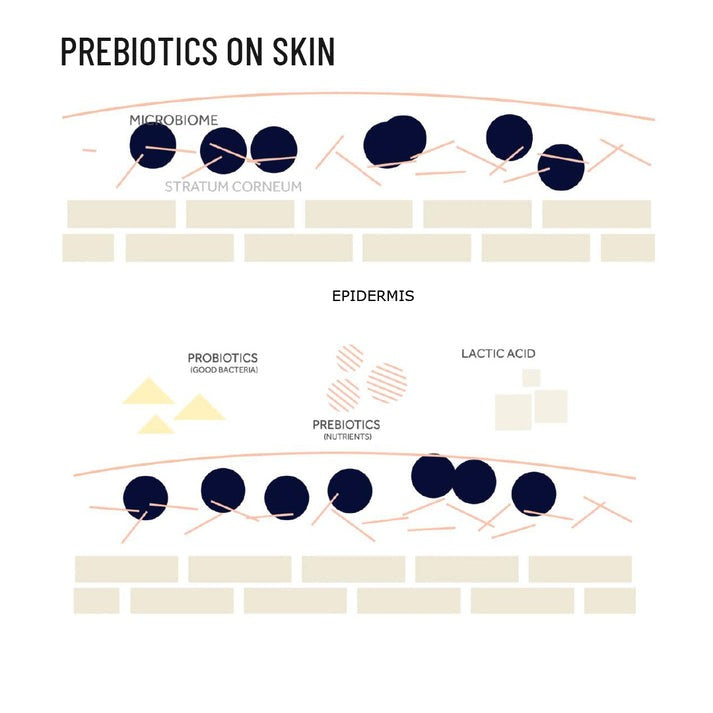 Kheoni Prebiotic Hand & Body Wash