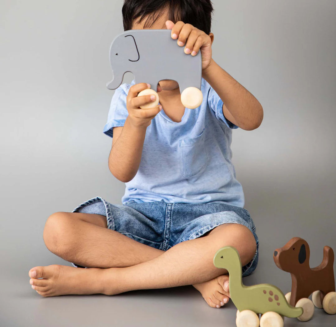 BIRCH & BUG Animal Roller Toys - Set of 3