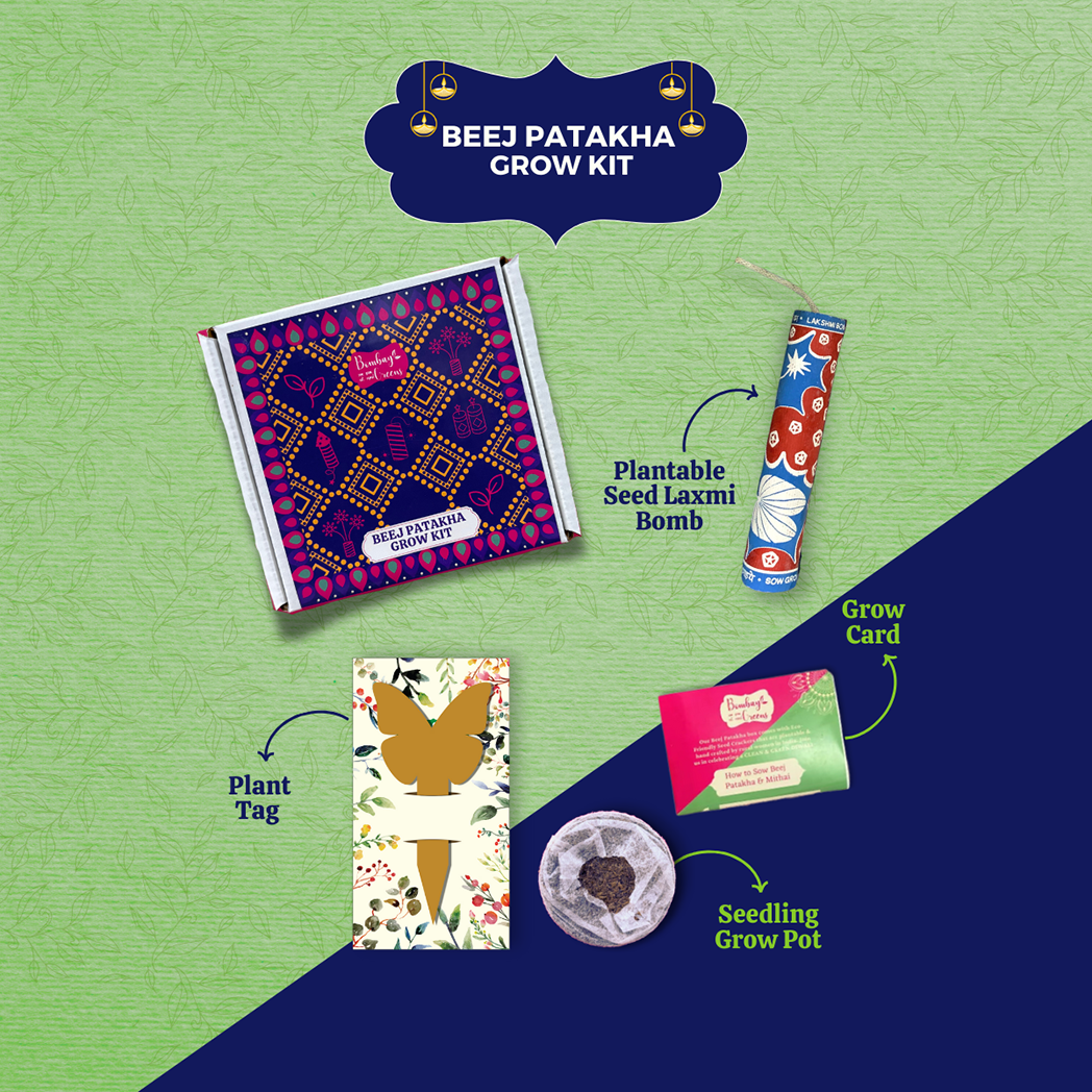 Bombay Greens Eco-Love Celebration Hamper