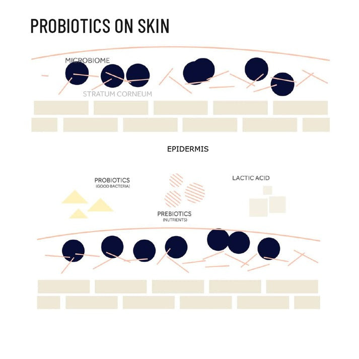 Kheoni Probiotic Active Shampoo | Shampoo for Hair Loss and Anti Dandruff