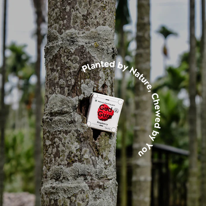 Gud Gum Raspberry Chewing Gum (Pack of 4)