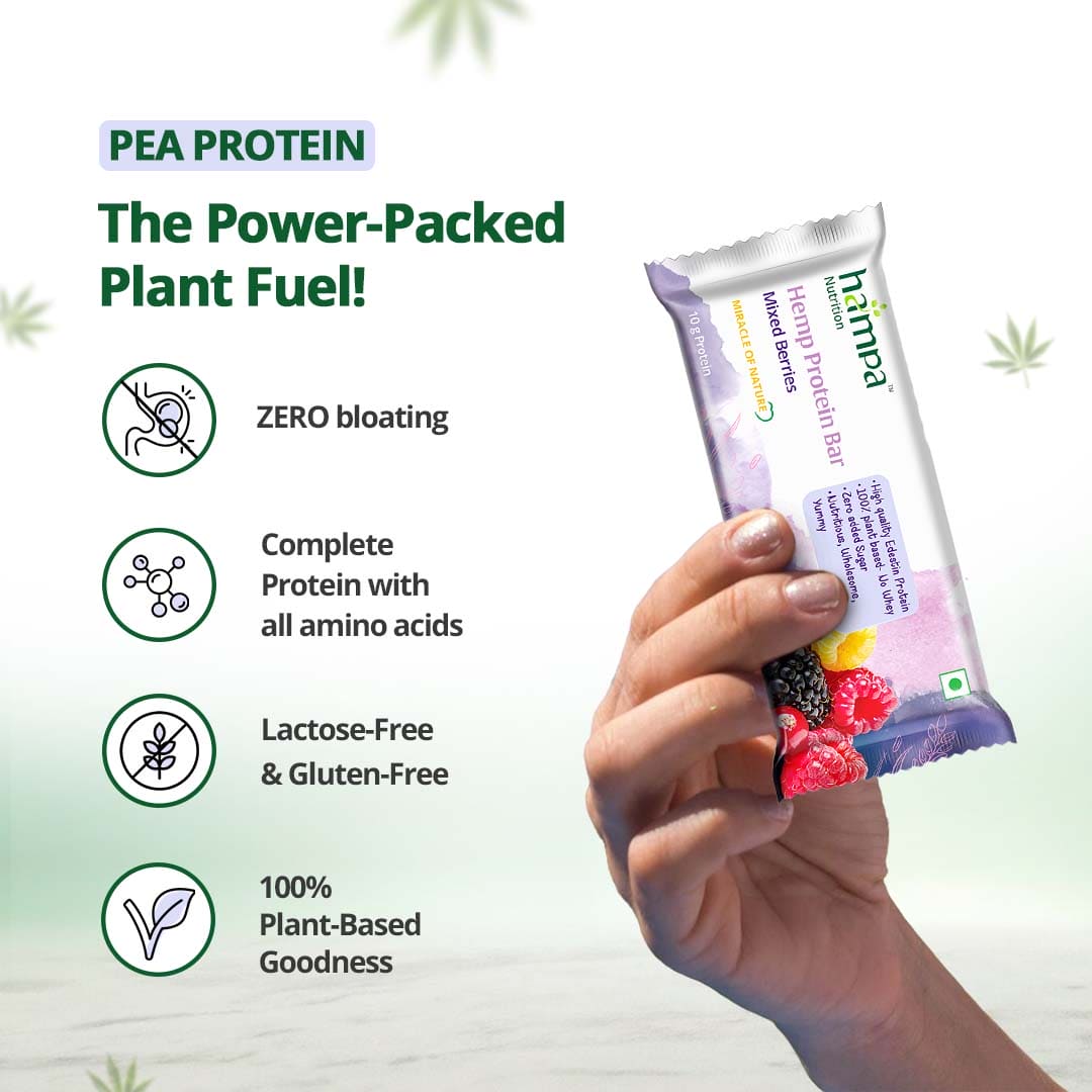 Hampa Wellness Protein Bar 50g - Mixed Flavours - Pack of 3