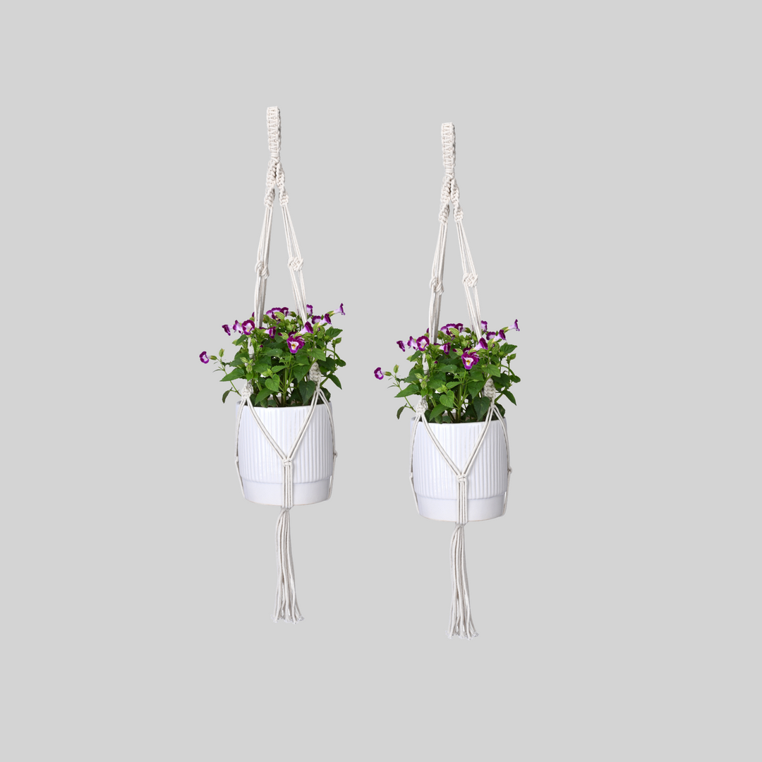 OIKO Macrame Cotton Plant Hanger Stylish Boho Hanging Planter for Home & Garden Pack of 2