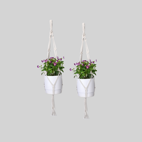 OIKO Macrame Cotton Plant Hanger Stylish Boho Hanging Planter for Home & Garden Pack of 2