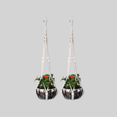 OIKO Macrame Cotton Plant Hanger with Wooden Beads | Stylish Indoor Decor