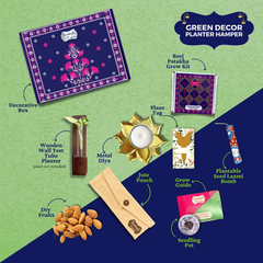 Bombay Greens Green Decor Planter Hamper